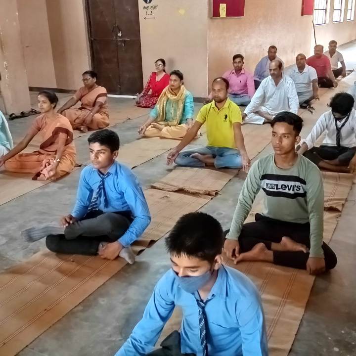 big rocks with some trees